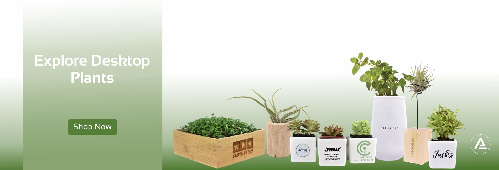 Home Active Life Promo